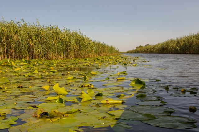 canale in delta dunarii