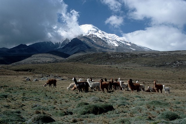 cotopaxi