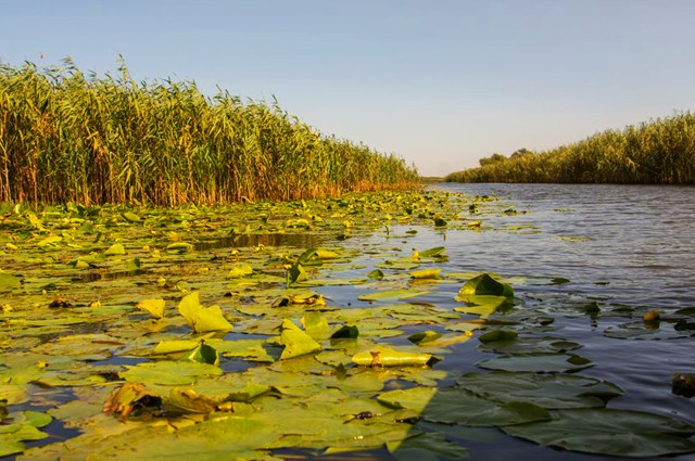 Croaziera Delta Dunarii