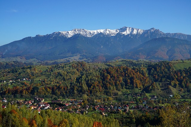 Natura TRansilvania