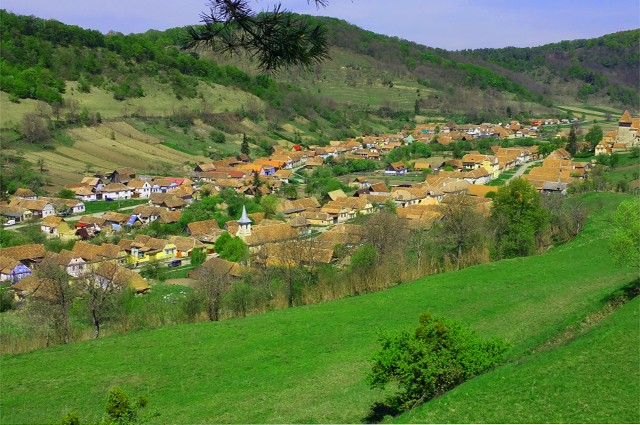 Off-road in Transilvania