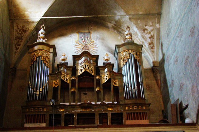 orgadelaghimbav