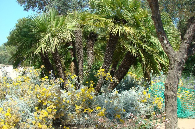 parcul guell