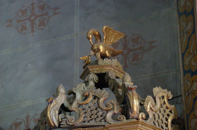 pelicanul