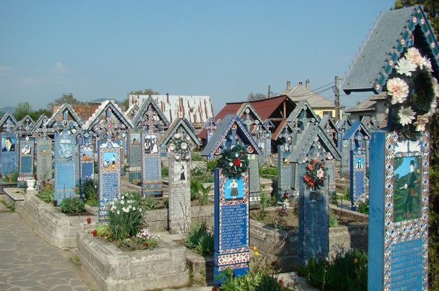 sapinta
